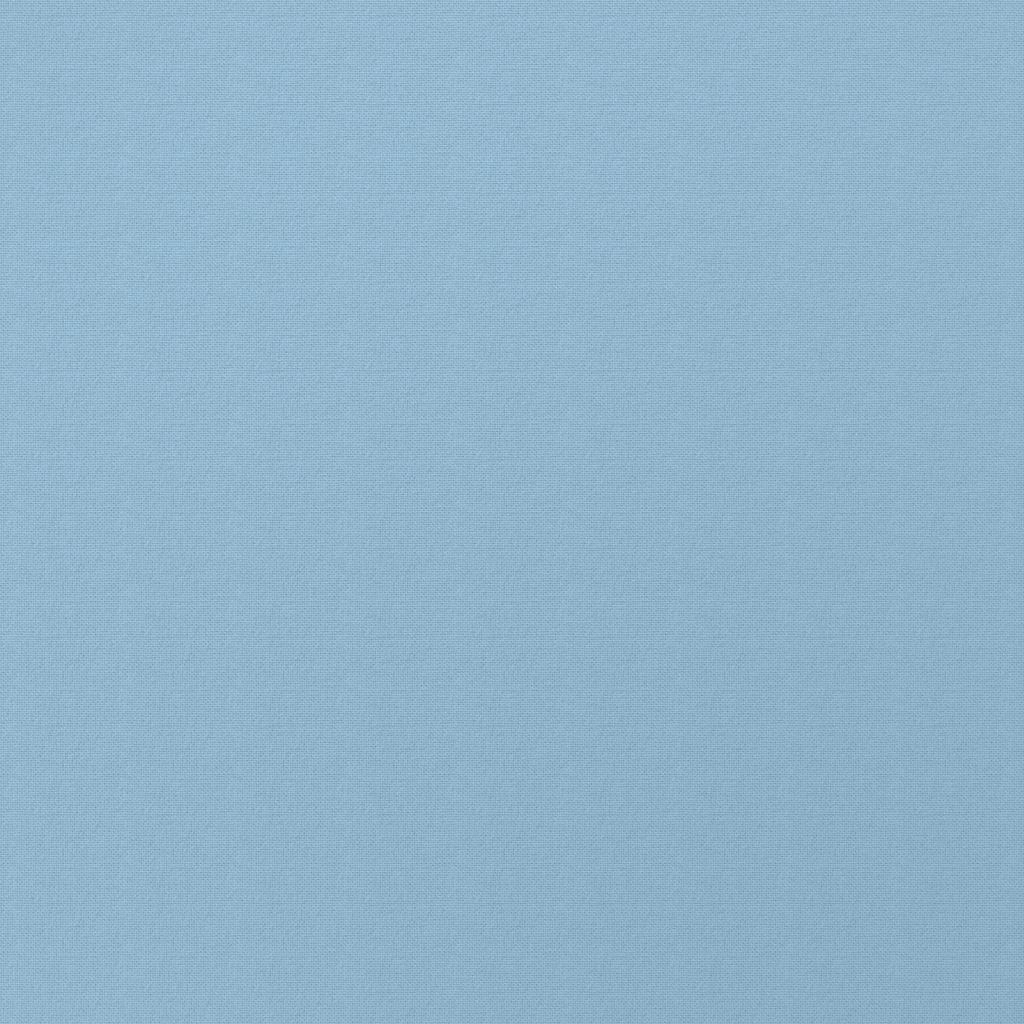 라이트 블루