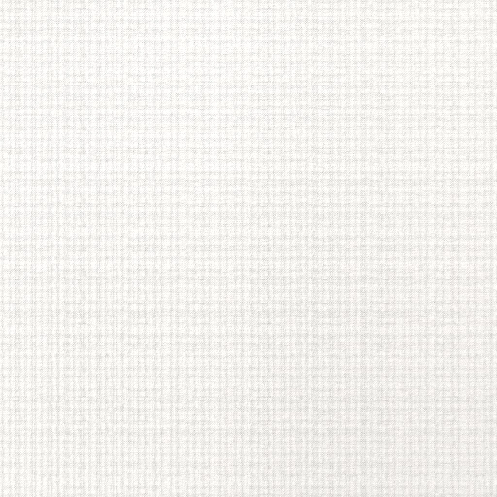 화이트