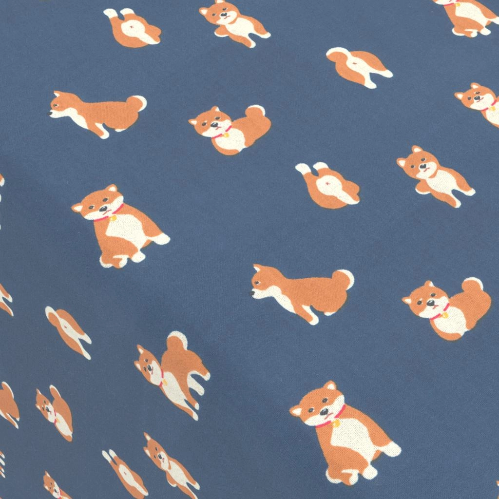 상품 메인 이미지 - 41125