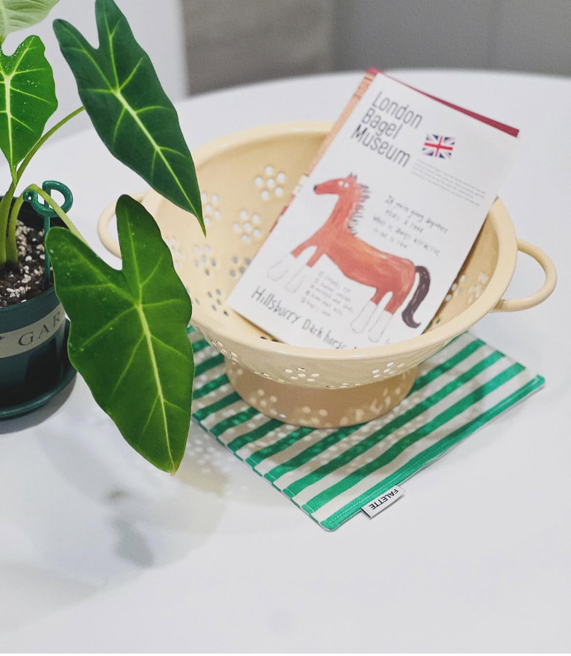 sun****님의 멜란지 스트라이프 리뷰 이미지